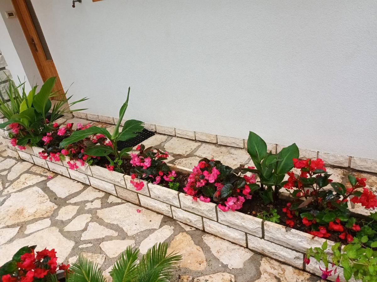 Apartment Leo Rovinj